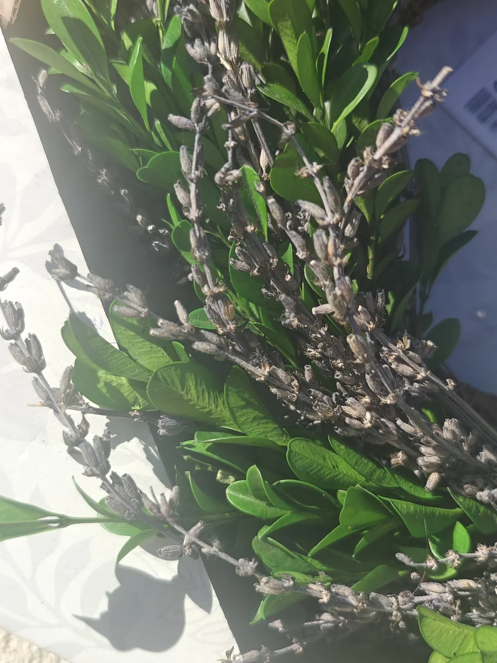 New Floral Living 12